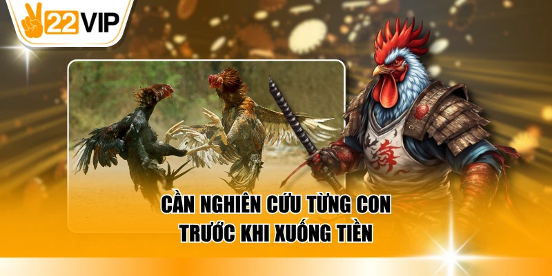 Cần nghiên cứu từng con trước khi xuống tiền