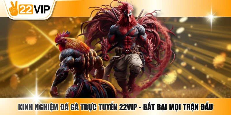 Kinh Nghiệm Đá Gà Trực Tuyến 22VIP - Bất Bại Mọi Trận Đấu