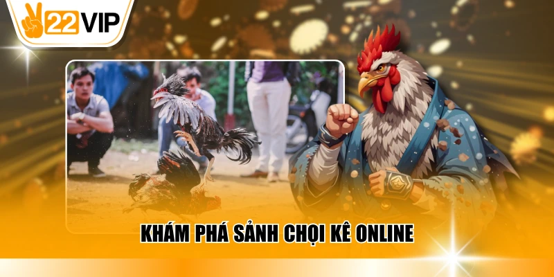 Khám phá sảnh chọi kê online