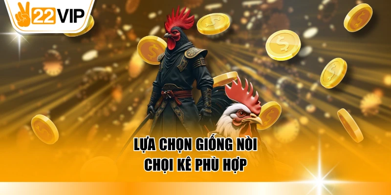 Lựa chọn giống nòi chọi kê phù hợp