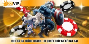 Mẹo Đá Gà Thắng Nhanh - Bí Quyết Giúp Sư Kê Bất Bại